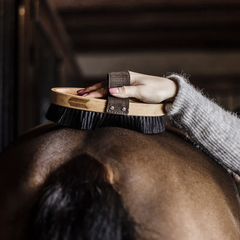 Brosse douce à poils durs cheval - Grooming Deluxe - GROOMING DELUXE - Brosses et bouchons - Equestra
