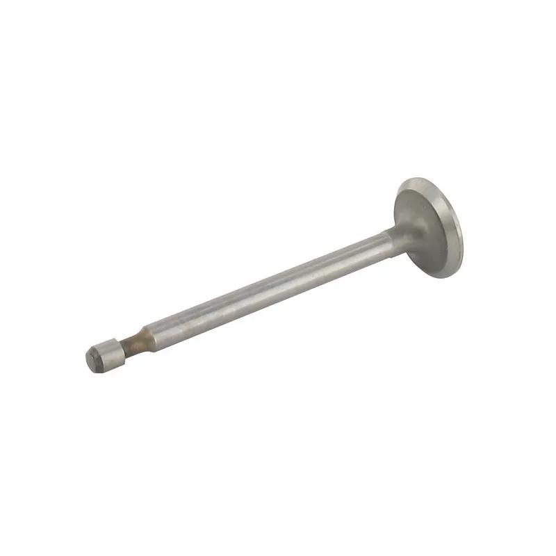soupape d'échappement moteur briggs et stratton